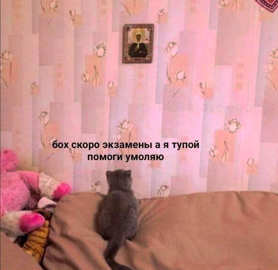A A 4 i A скоро экзамены а я тупой