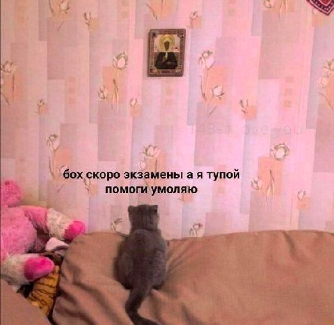 A A 4 i A скоро экзамены а я тупой
