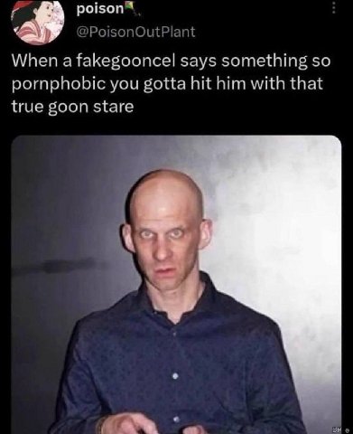 poison When a fakegooncel says something so pornphobic you gotta hit him with that true goon stare