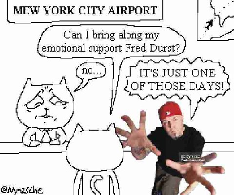 MEW YORE CITY AIRPORT a Can I bring along my emotional support Fred Durst? IT's JUST ONE OF THOSE DAYS!