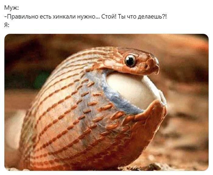 Муж: -Правильно есть хинкали нужно... Стой! Ты что делаешь?! A at a
