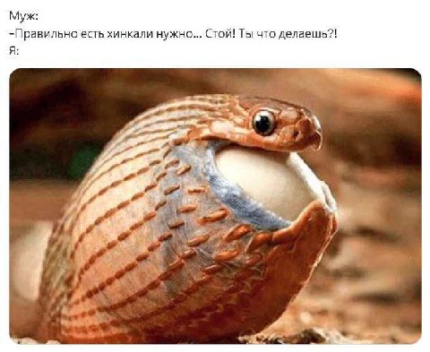 Муж: -Правильно есть хинкали нужно... Стой! Ты что делаешь?! A at a