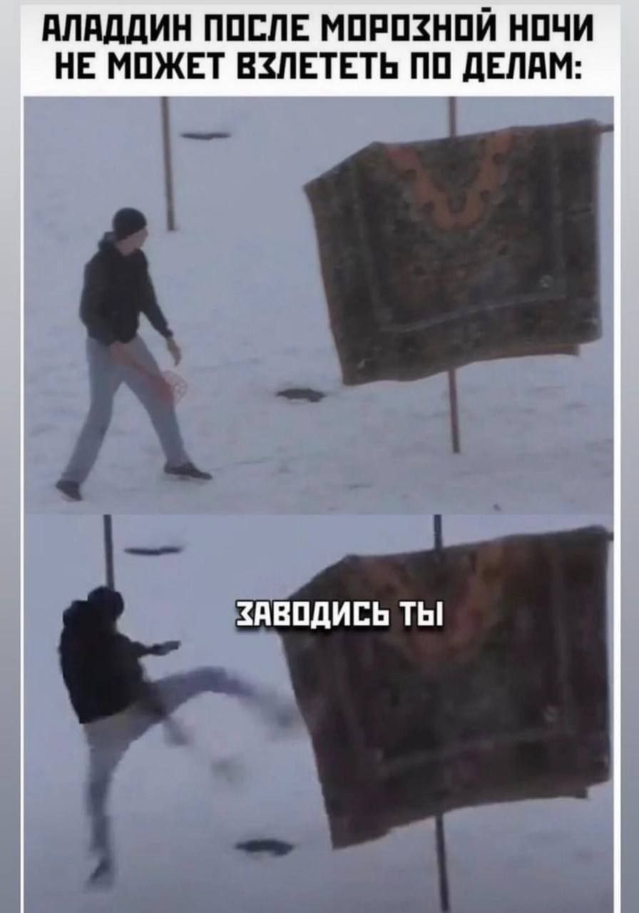 АЛАДДИН ПОСЛЕ МОРОЗНОЙ НОЧИ НЕ МОЖЕТ ВЗЛЕТЕТЬ ПО ДЕЛАМ: ЗАВОДИСЬ ТЫ