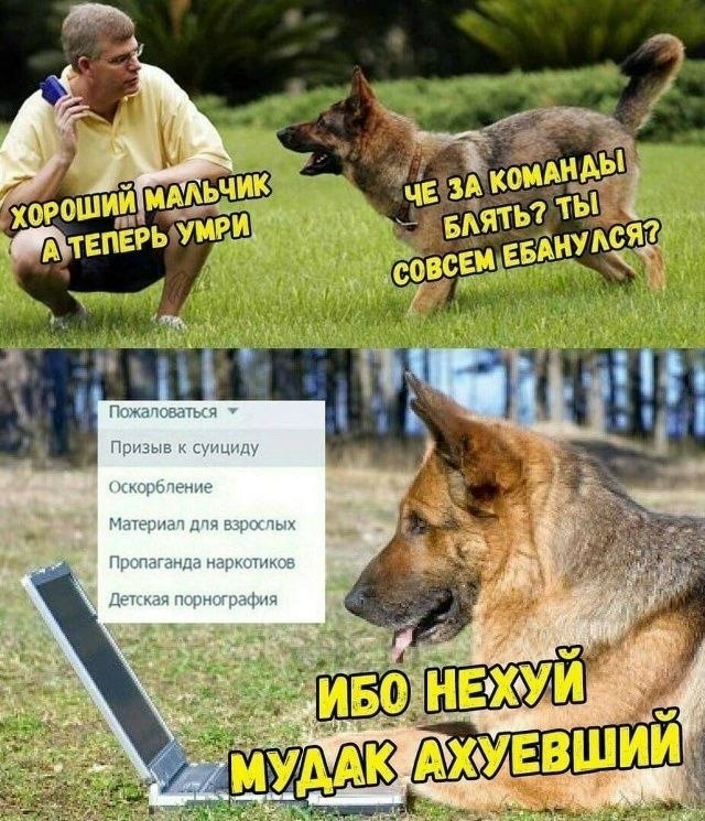 АКЬЧИК Хороший БАЯТ 2 ты У МРИ, АНУМ ВСЕМ Пожаловаться Призыв к суициду Оскорбление Материал ana взрослых Пропаганда наркотиков Детская порнография a HE: ЕВШИИ