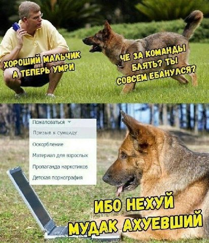АКЬЧИК Хороший БАЯТ 2 ты У МРИ, АНУМ ВСЕМ Пожаловаться Призыв к суициду Оскорбление Материал ana взрослых Пропаганда наркотиков Детская порнография a HE: ЕВШИИ