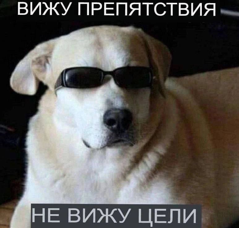 ВИЖУ ПРЕПЯТСТВИЯ ВИЖУ ЦЕЛИ
