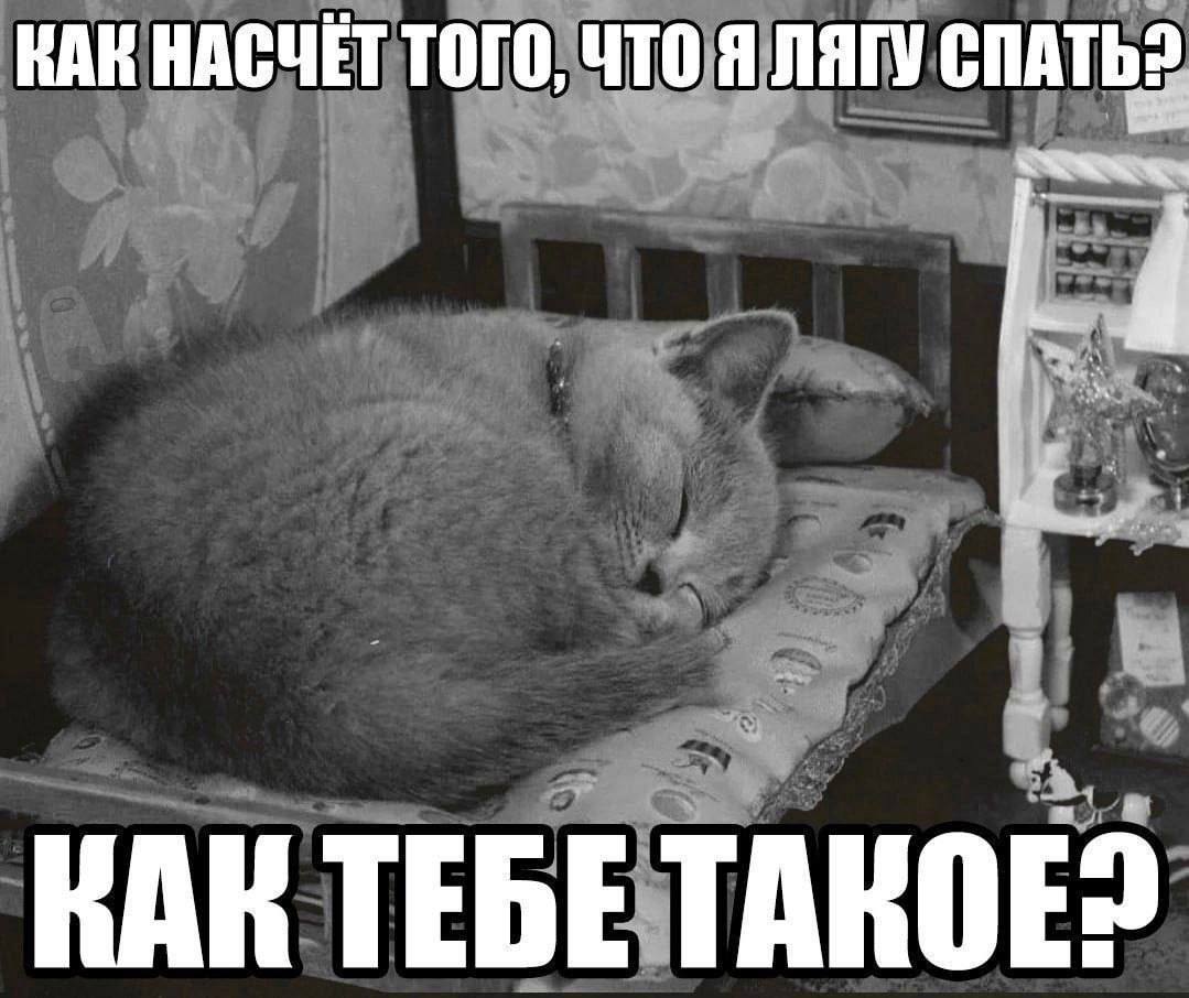 КАК НАСЧЕТ ТОГО, ЧТО Я ЛЯГУ СПАТЬ? КАК TEBE TAKOE?