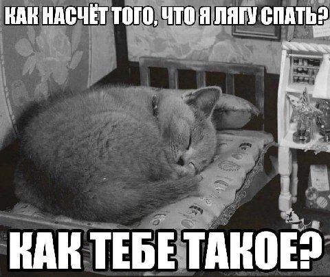 КАК НАСЧЕТ ТОГО, ЧТО Я ЛЯГУ СПАТЬ? КАК TEBE TAKOE?