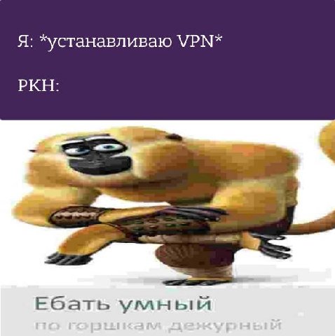 Я: хустанавливаю VPN* РКН: Ебать умный