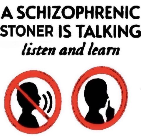 A SCHIZOPHRENIC STONER IS TALKING listen and learn