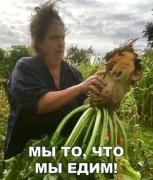 мы то, что МЫ ЕДИМ!