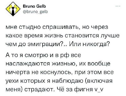 Bruno Gelb @bruno_gelb мне стыдно спрашивать, через какое время жизнь становится лучше чем до эмиграции?.. Или никогда? А то я смотрю и в все наслаждаются жизнью, вообще ничерта не коснулось, при этом