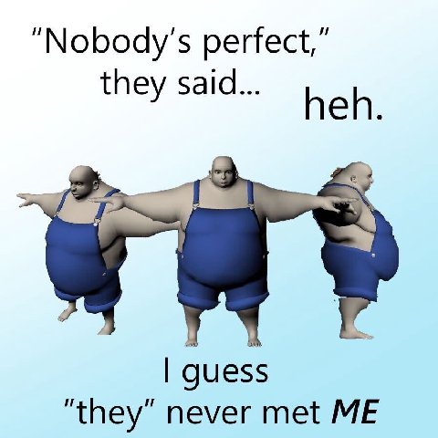“Nobody's perfect,” they said... guess “they” never met ME
