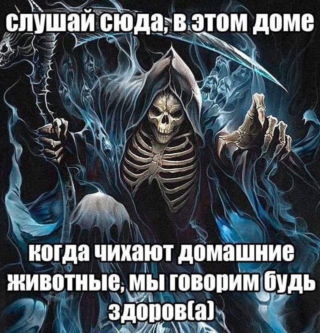 слушай сюда; В. этом Доме hoy NUS 2% когда чихают домашние животные, мы говорим будь