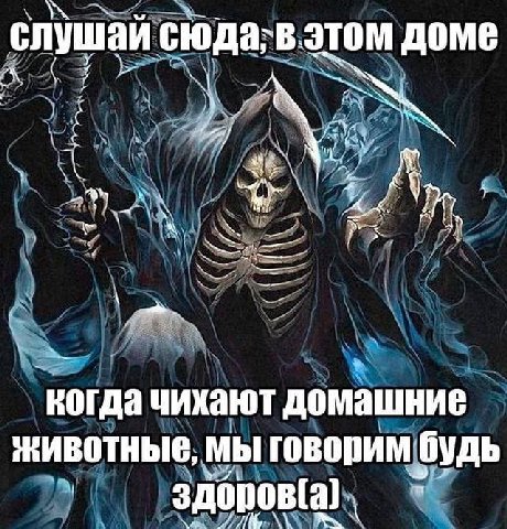 слушай сюда; В. этом Доме hoy NUS 2% когда чихают домашние животные, мы говорим будь