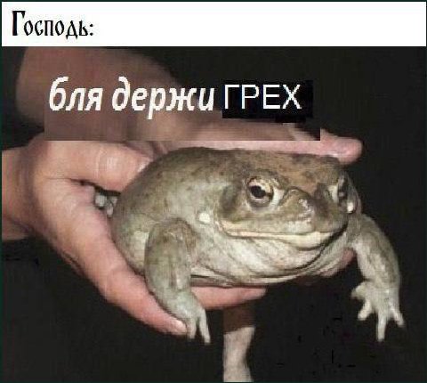 Господь: бля держи ГРЕХ