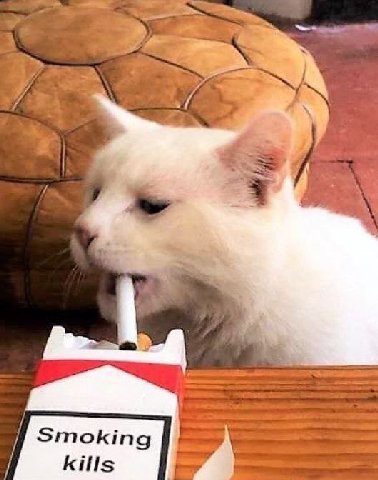 Smoking kills