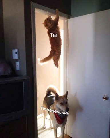 доброе утро