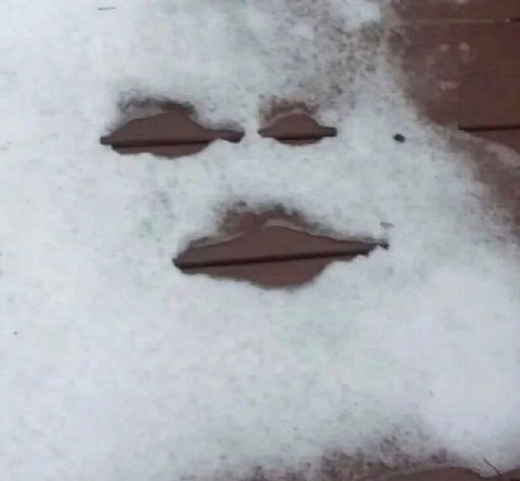 Ste