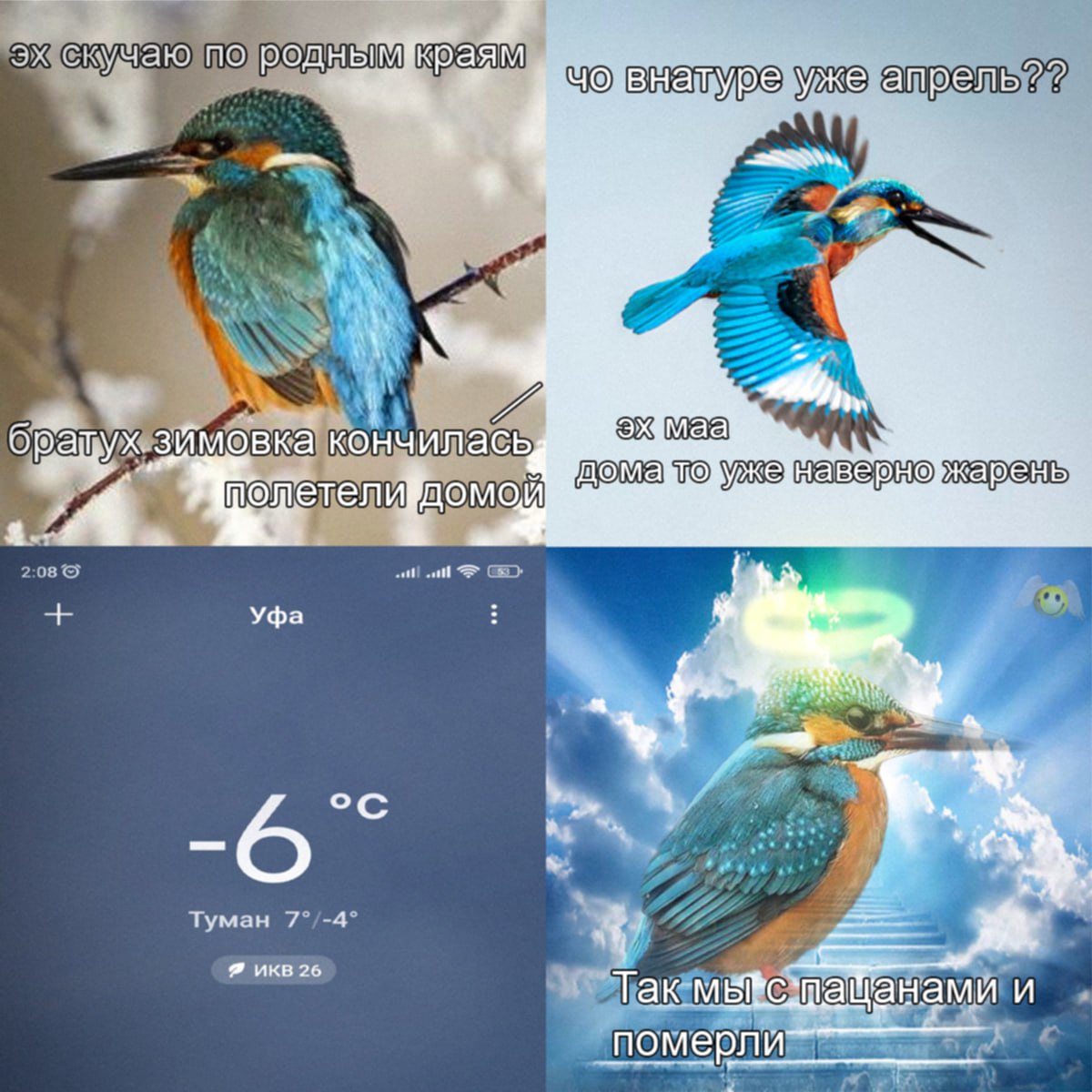 che учаю по родны аям атуре уже Имовка кончилась TO A Уфа -6 Гуман икв 26 Tak и nomepnu—