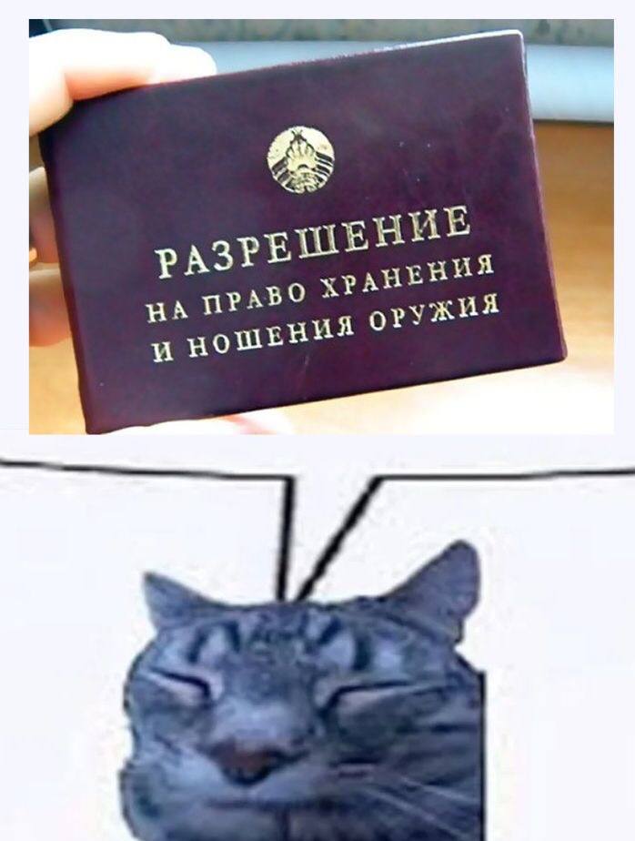 ПРАВО ХРАНЕНИЯ и ОРУЖИЯ