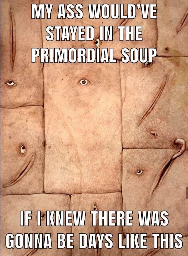 MY ASS WOULD'VE STAVED IN THE PRIMORDIAL SOUP The 4 у IF KNEW THERE WAS GONNA BE DAYS LIKE THIS