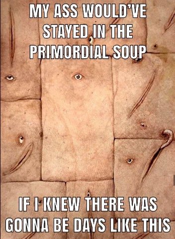 MY ASS WOULD'VE STAVED IN THE PRIMORDIAL SOUP The 4 у IF KNEW THERE WAS GONNA BE DAYS LIKE THIS