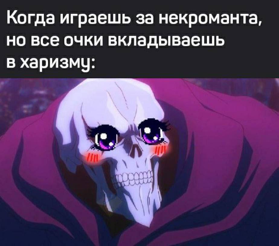 Когда играешь за некроманта, но все очки вкладываешь в харизмч: