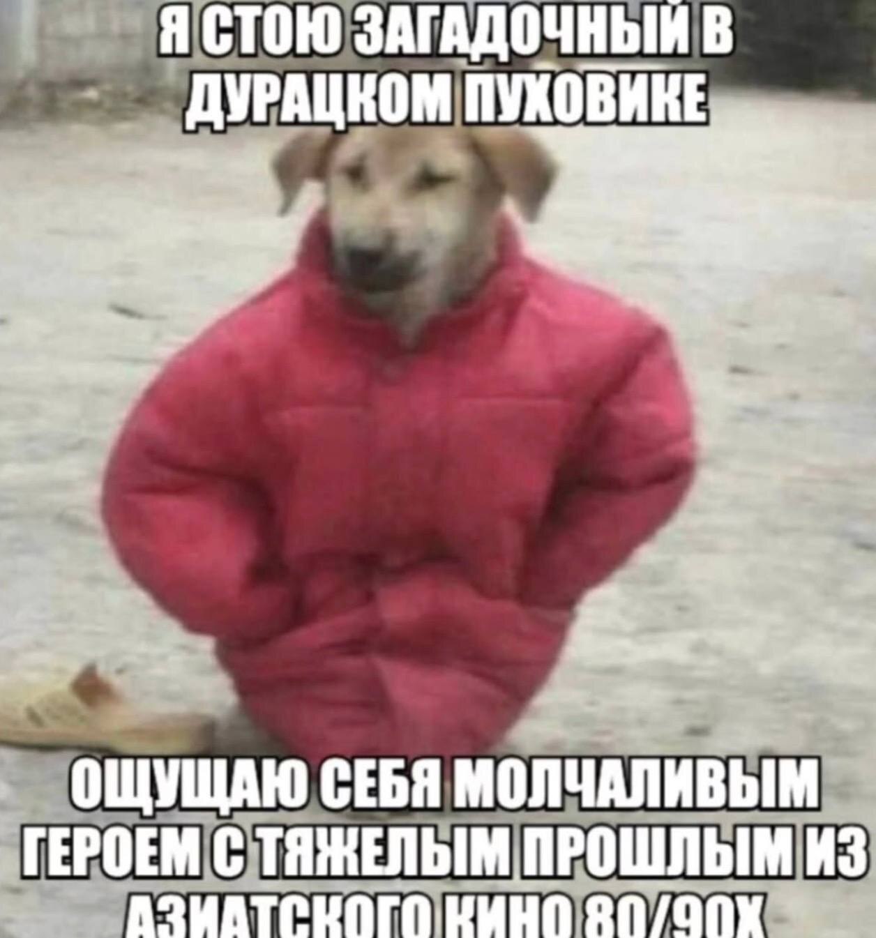 Я СТОЮ ЗАГАДОЧНЫЙ В ПУХОВИКЕ ОЩУЩАЮ СЕБЯ МОЛЧАЛИВЫМ ГЕРОЕМ С ТЯЖЕЛЫМ ПРОШЛЫМ ИЗ