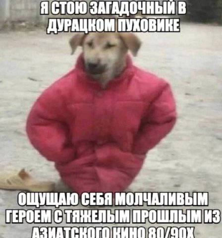Я СТОЮ ЗАГАДОЧНЫЙ В ПУХОВИКЕ ОЩУЩАЮ СЕБЯ МОЛЧАЛИВЫМ ГЕРОЕМ С ТЯЖЕЛЫМ ПРОШЛЫМ ИЗ