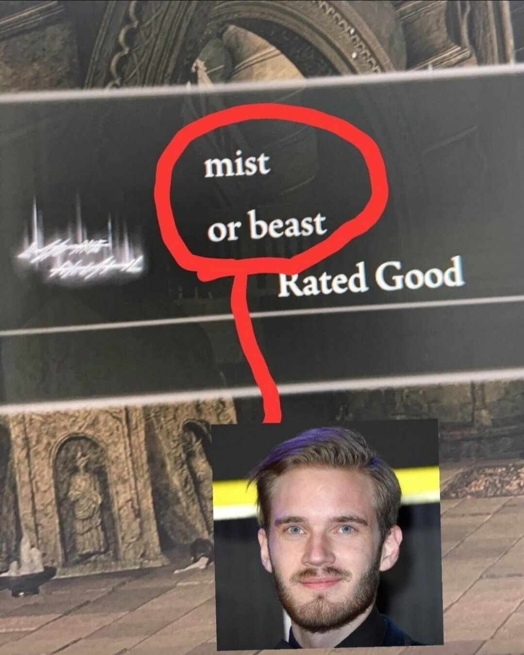 mist or beast Kated Good