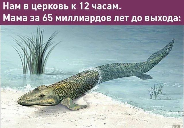 Нам в церковь к 12 часам. Мама за 65 миллиардов лет до выхода: 74 44