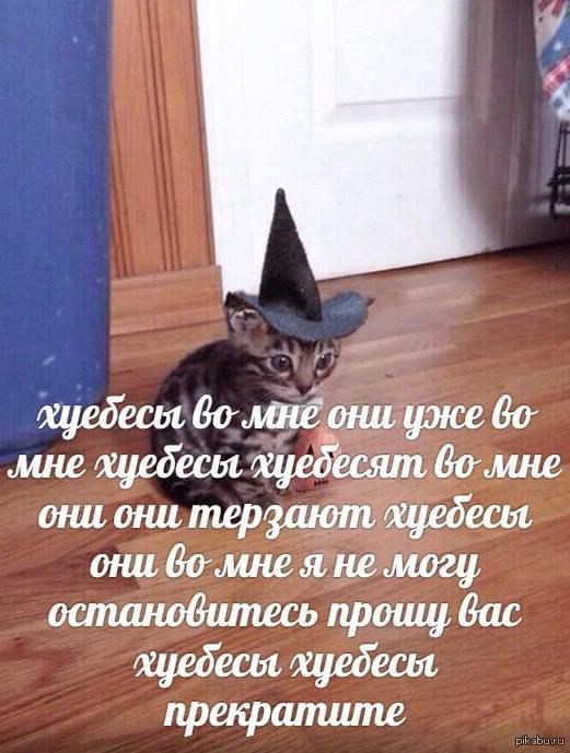 во-мне они уже мне xyedectt xyedecsum они они терзают, хцедеся они, я не могу, остановитесь вас хцедеся хцедеся прекратите