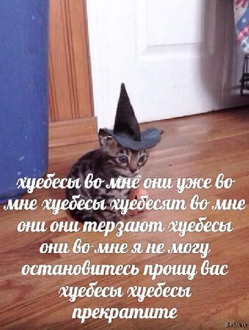 во-мне они уже мне xyedectt xyedecsum они они терзают, хцедеся они, я не могу, остановитесь вас хцедеся хцедеся прекратите