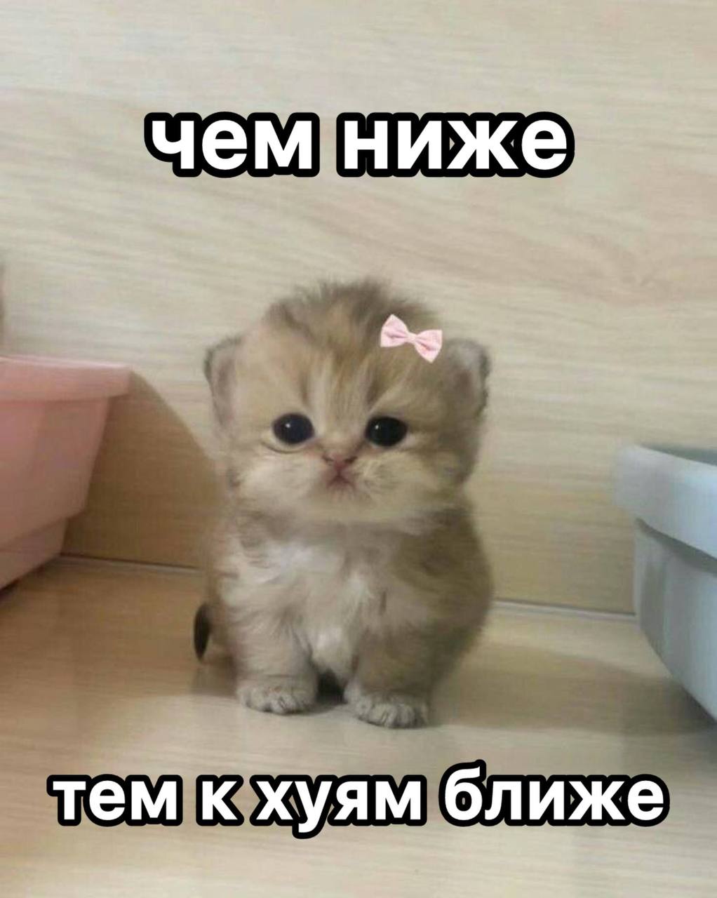 чем ниже тем к хуям ближе
