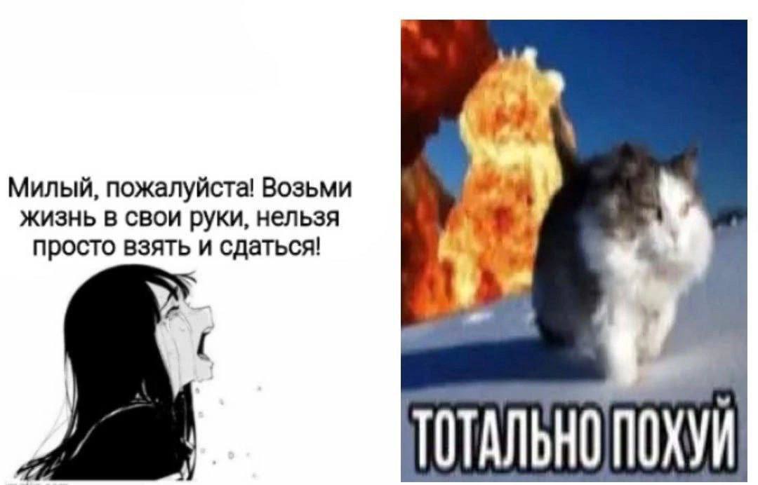 Милый, пожалуйста! Возьми жизнь в свои руки, нельзя просто взят и сдаться! ТОТАЛЬНО ПОХУЙ