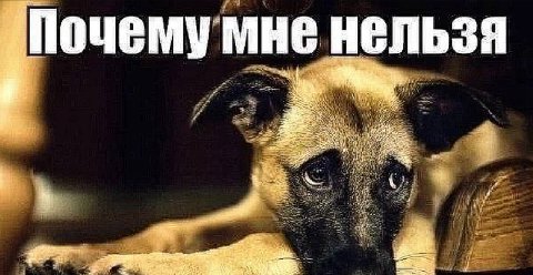 Почемумне НЕЛЬЗЯ be 11 ott to wee ivf; at