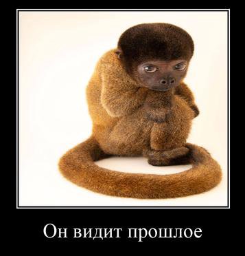 Он видит прошлое