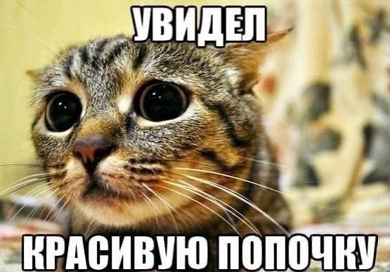 УВИ в. Pay КРАСИВУЮ