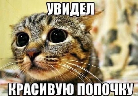 УВИ в. Pay КРАСИВУЮ