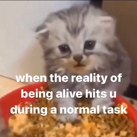 when the reality of alive hits и during a normal task