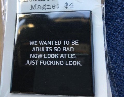 Magn WE WANTED ТО ADULTS SO BAD. NOW LOOK AT JUST FUCKING LOOK.