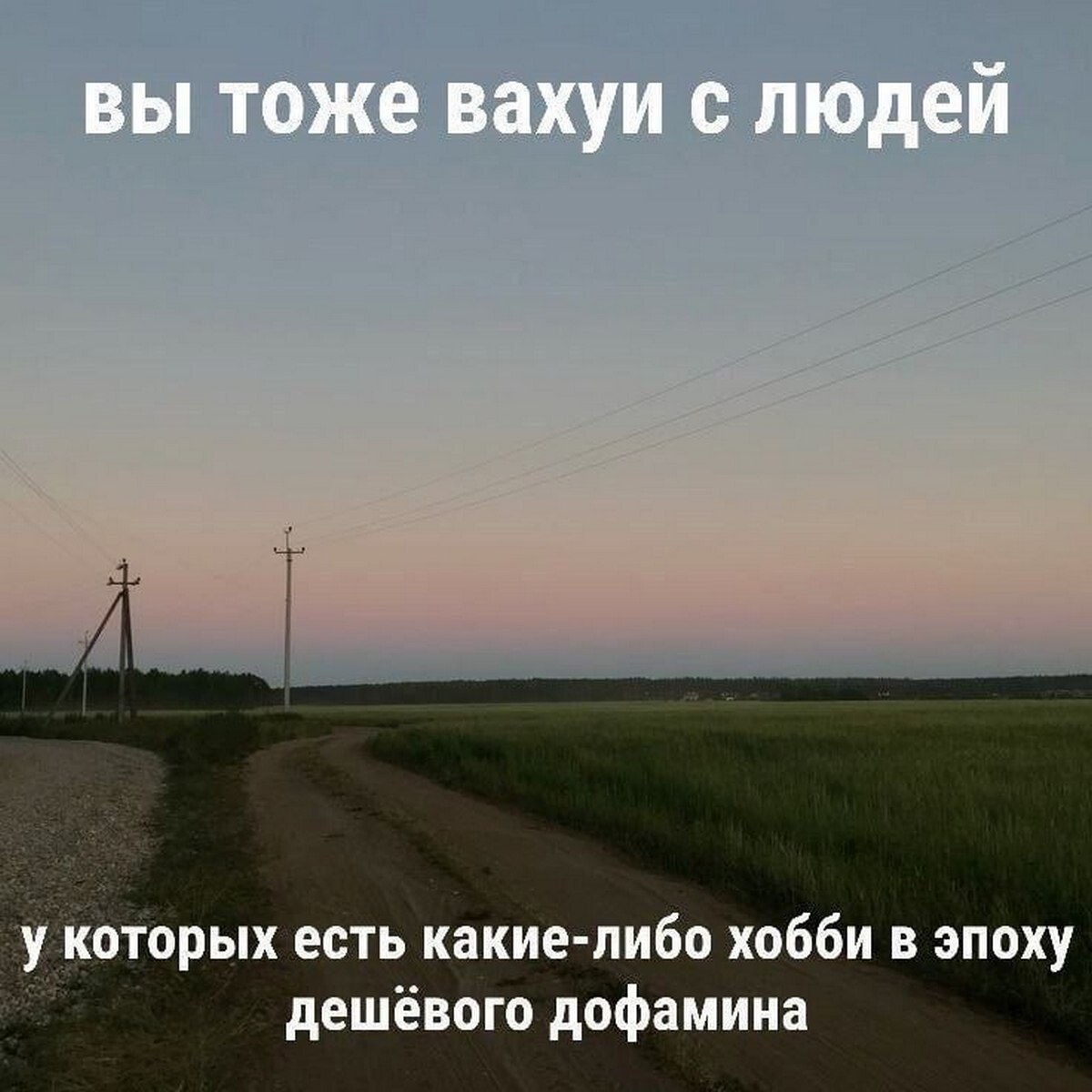 вы тоже вахуи с людей у которых есть какие-либо хобби в эпоху дешёвого дофамина