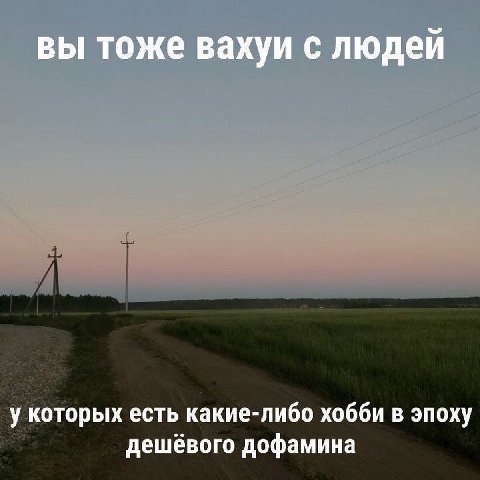 вы тоже вахуи с людей у которых есть какие-либо хобби в эпоху дешёвого дофамина