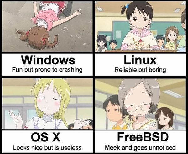 Windows Linux Fun but prone to crashing Reliable but boring (a eee FreeBSD Looks nice but is useless Meek and goes unnoticed