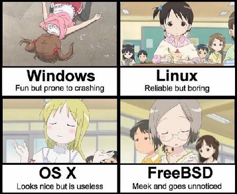 Windows Linux Fun but prone to crashing Reliable but boring (a eee FreeBSD Looks nice but is useless Meek and goes unnoticed