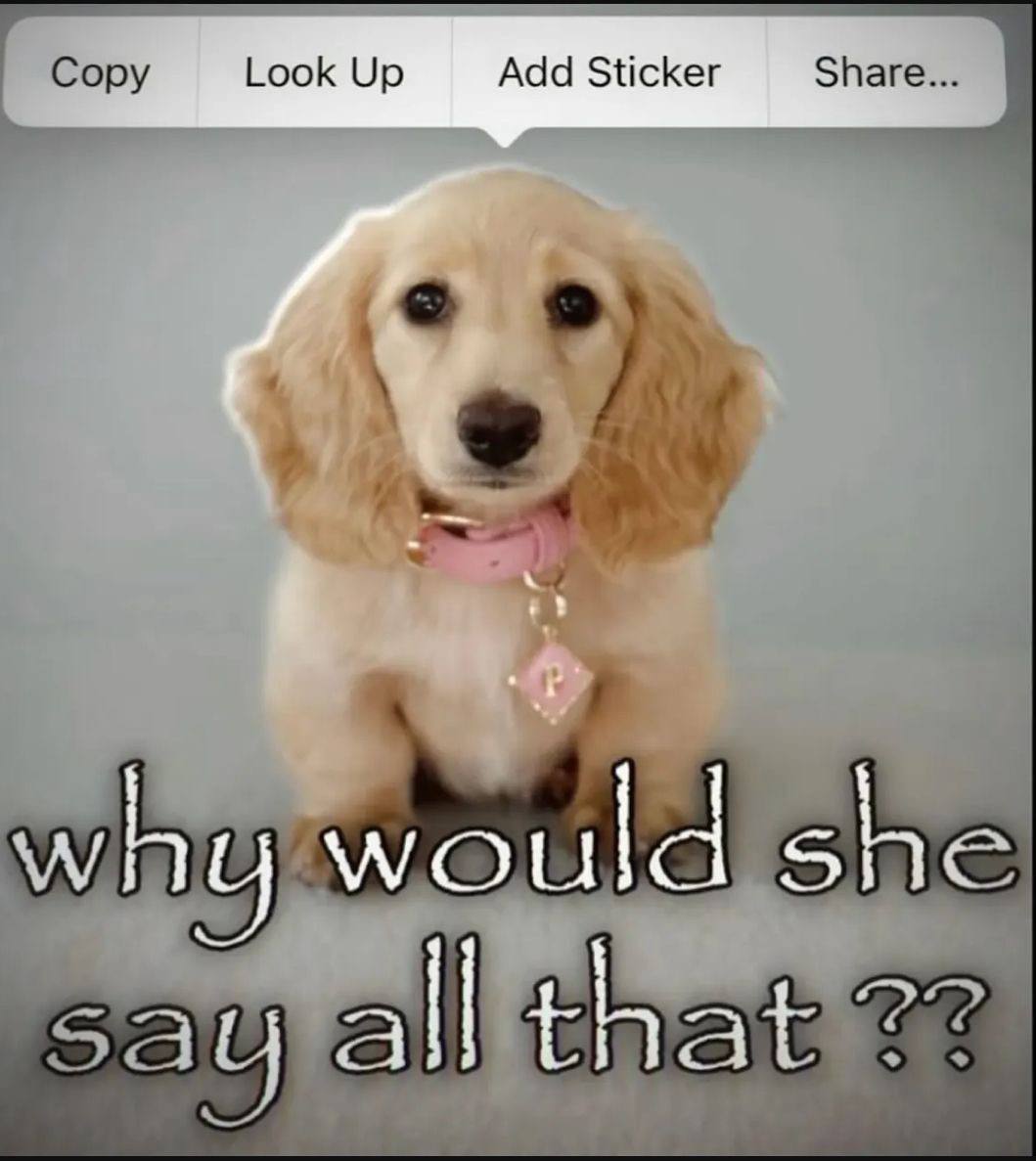 ору Look Up Add Sticker Share... why would she all that