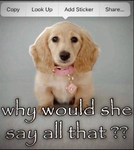 ору Look Up Add Sticker Share... why would she all that