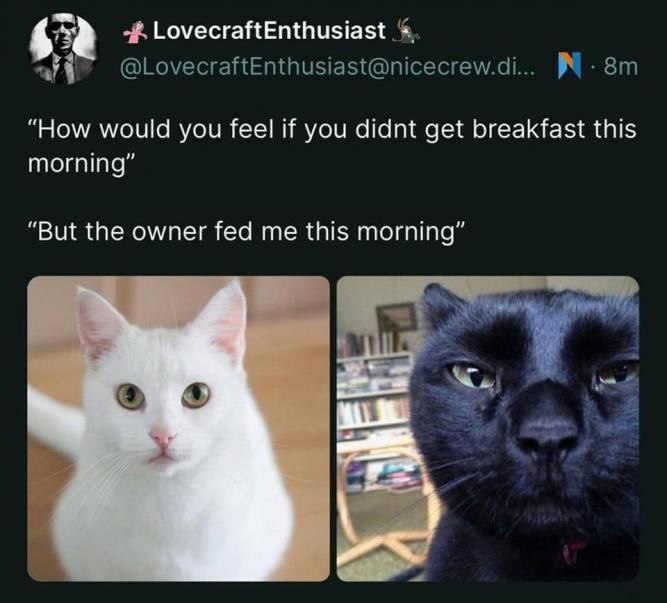 @LovecraftEnthusiast@nicecrew.di... How would you feel if you didnt get breakfast this morning But the owner fed me this morning и