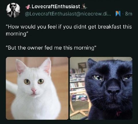 @LovecraftEnthusiast@nicecrew.di... How would you feel if you didnt get breakfast this morning But the owner fed me this morning и